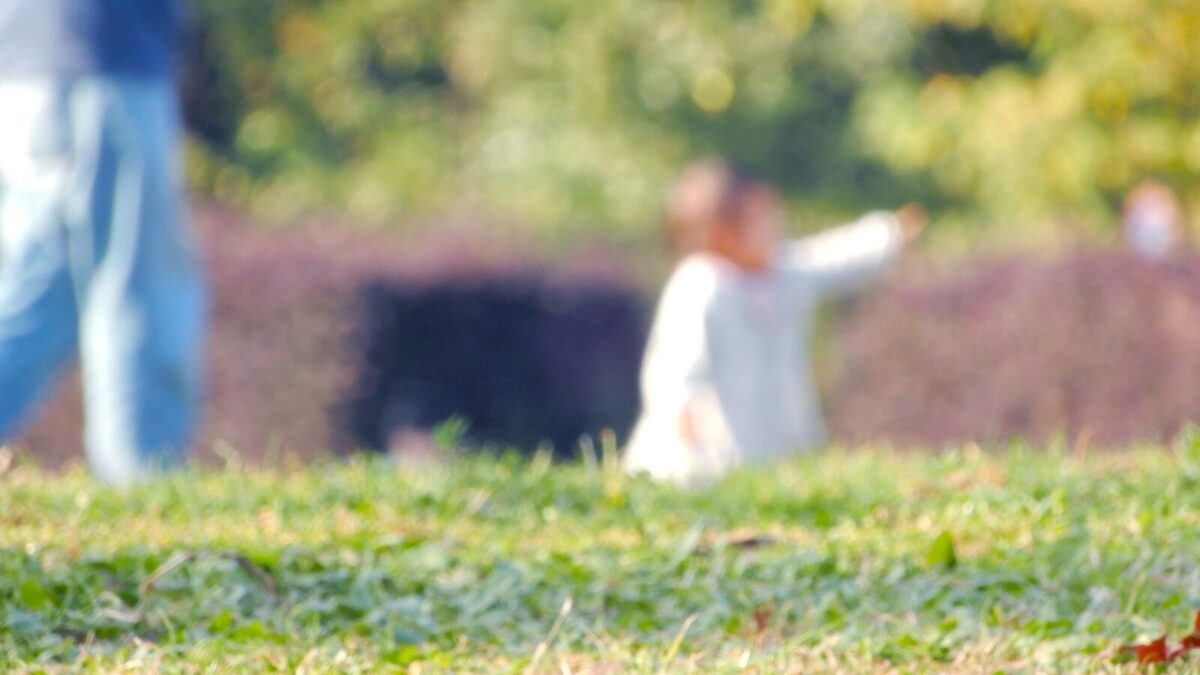 里子実子結婚とは？理解と現状、子供たちの未来への可能性