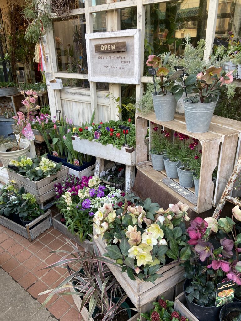 お花好きの為の岡山市花めぐり その3 不動産売却 岡山市中区 北区 ならアーキ不動産 相続空家 住み替え ローン返済 離婚